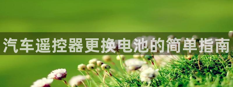 优发国际平台g80：汽车遥控器更换电池的简单指南