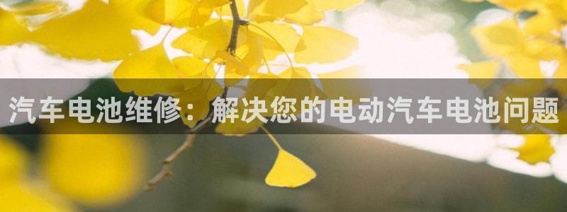 优发国际手机登录下载安装